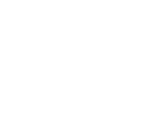 logo-rasztow-vert_500_white